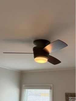 Ceiling fan