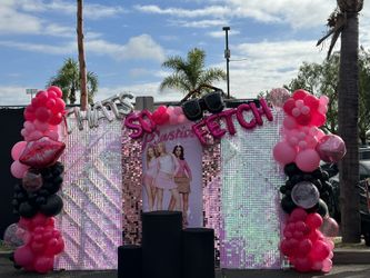 Mean girls Balloon Decoration & shimmer Wall 