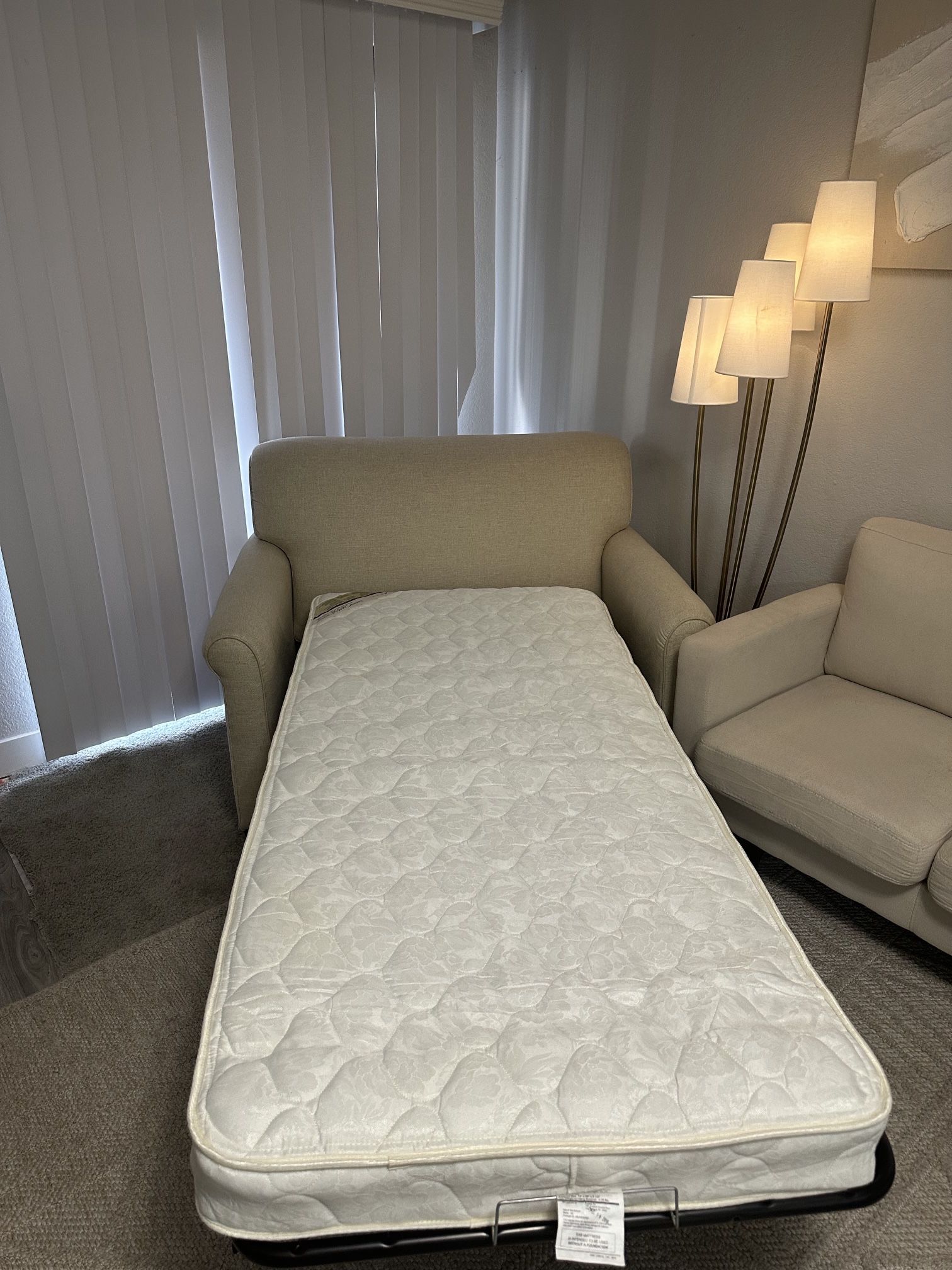 Loveseat Pull-Out Sofa Bed