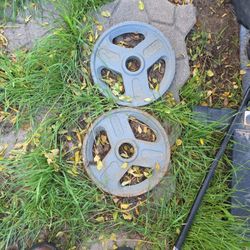 25lb Olympic Weights