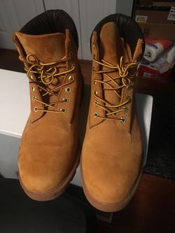 Timberlands shoe brand new 11 M