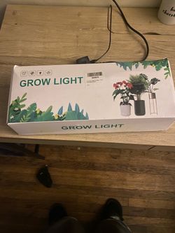 Grow light