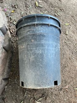 Plastic Planters $5 each firm