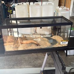 20 Gallon Long Reptile Tank