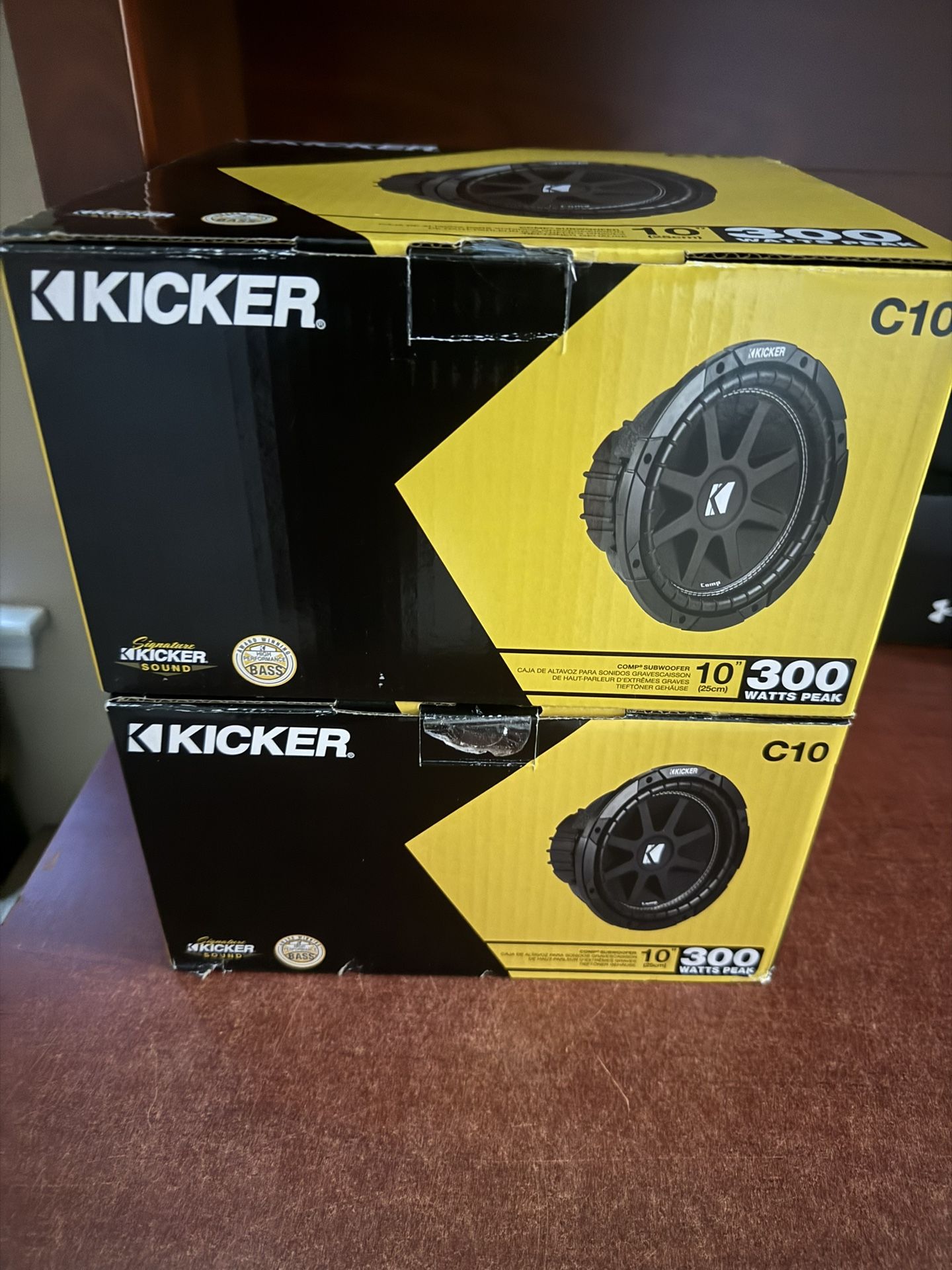10” Subwoofer