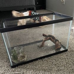 Reptile/fish Tank