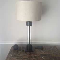 Bassett Designer Lamp