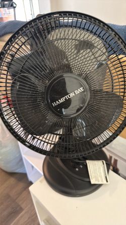 Fans