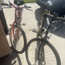 two Bikes men And Women’s magna 