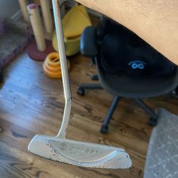 Odyssey Putter