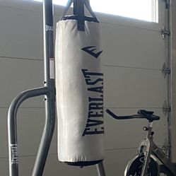 Everlast Punch Bag With Stand