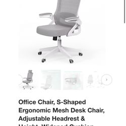 Tweakio Office Chair, S-Shaped Ergonomic Mesh Desk Chair