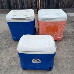 Coolers Need  TLC  10 Each