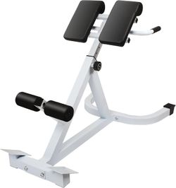45° Hyperextension Back Extension Bench!
