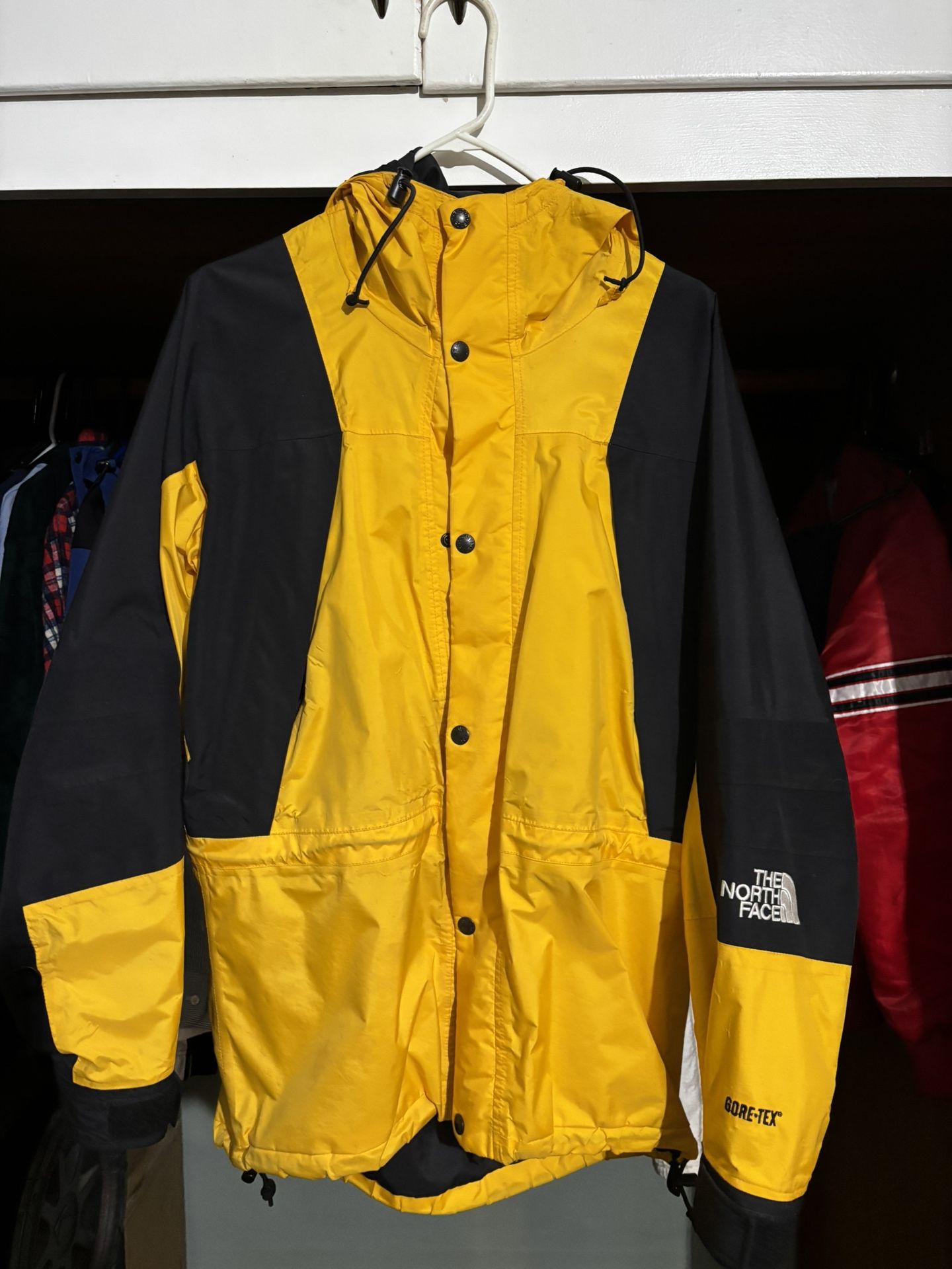 The North Face X GORETEX jacket