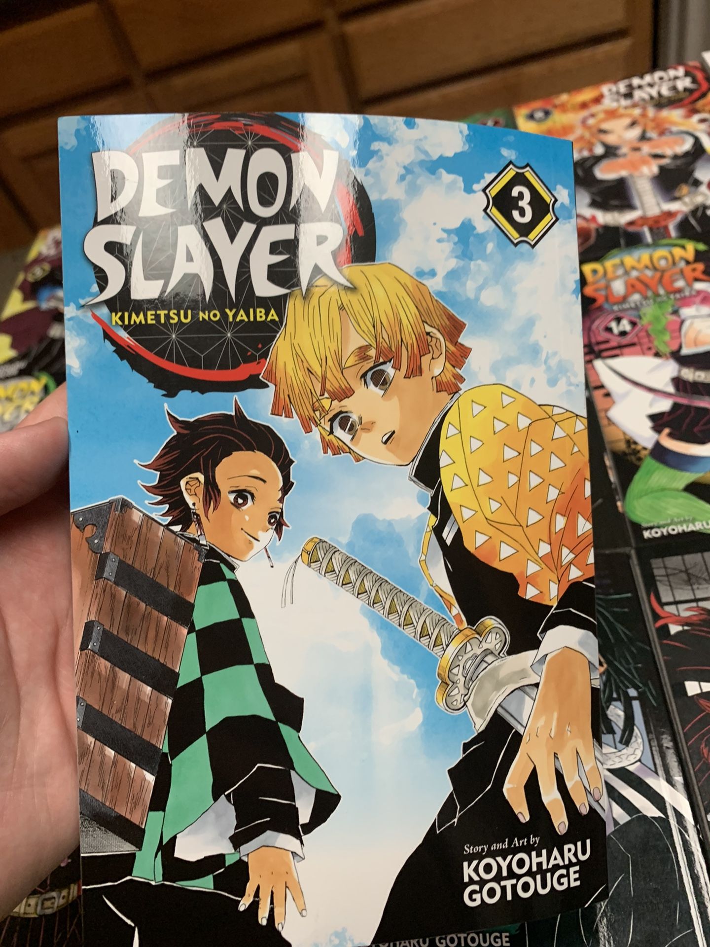 Demon Slayer Manga (19 Volumes) for Sale in Bakersfield, CA OfferUp