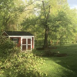 Tree Work 