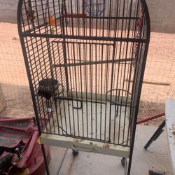 Bird Cage 