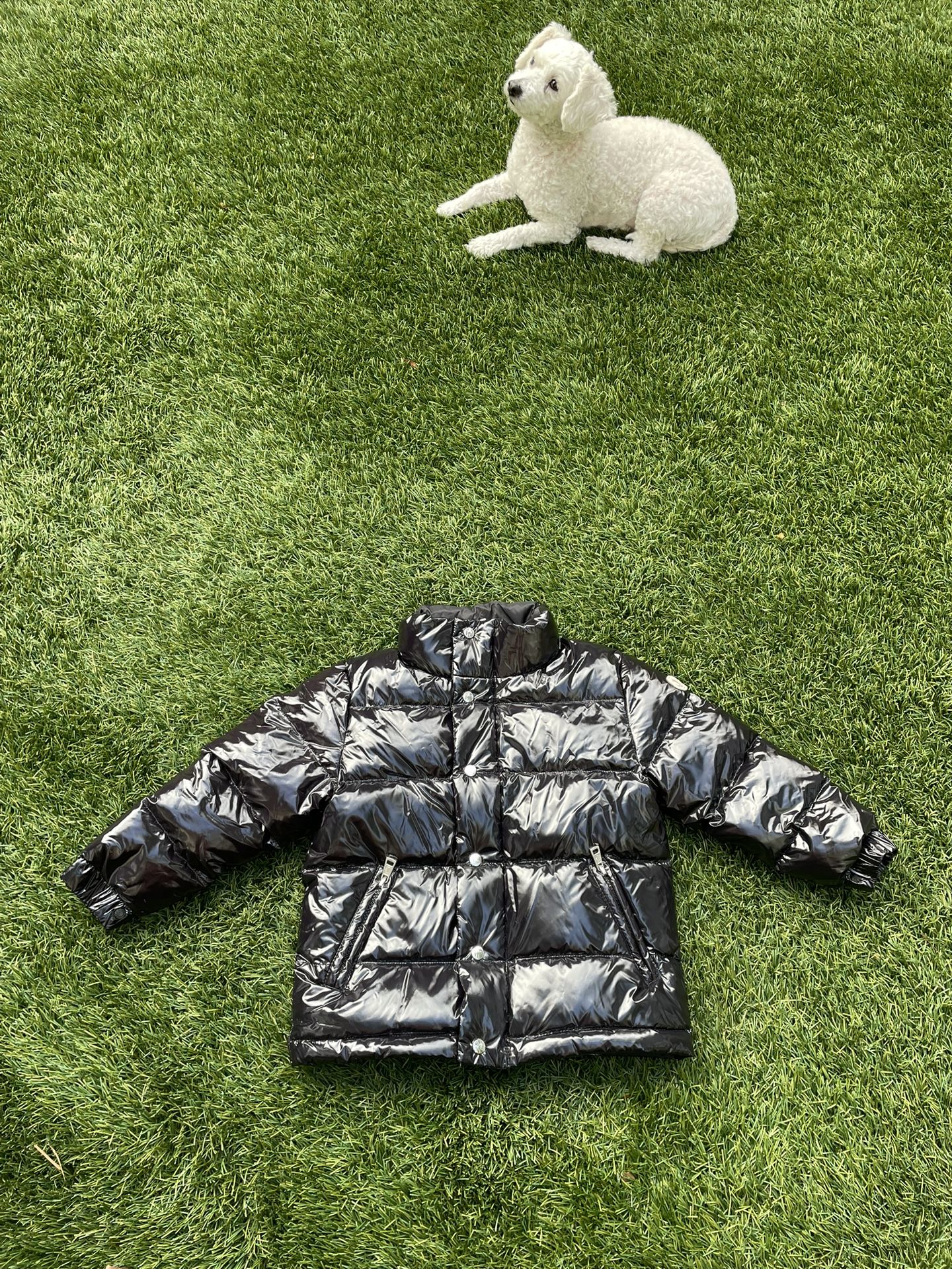 Mon Clear Toddler Puffer Jacket 🧸 (2–3 Years)