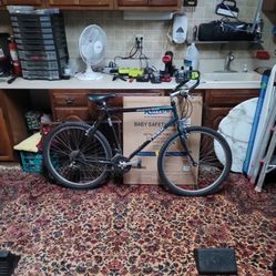 Trek Bike