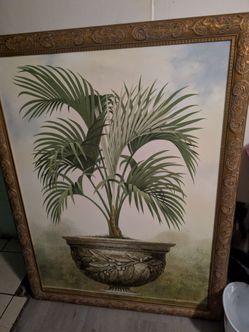 the raschella collection inc