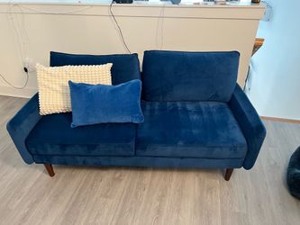 Blue Velvet Contemporary Sofa 2-Seater with Removable Cushions Wood Frame