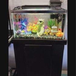 Fresh Water Aquarium $150