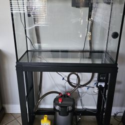 Fish Tank And Filter
