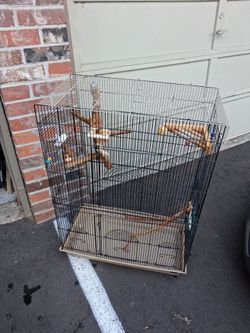 Large bird cage w/ toys