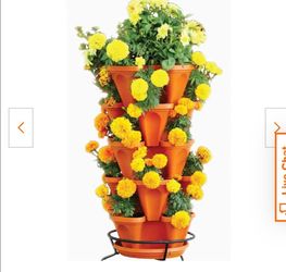 Plants pots