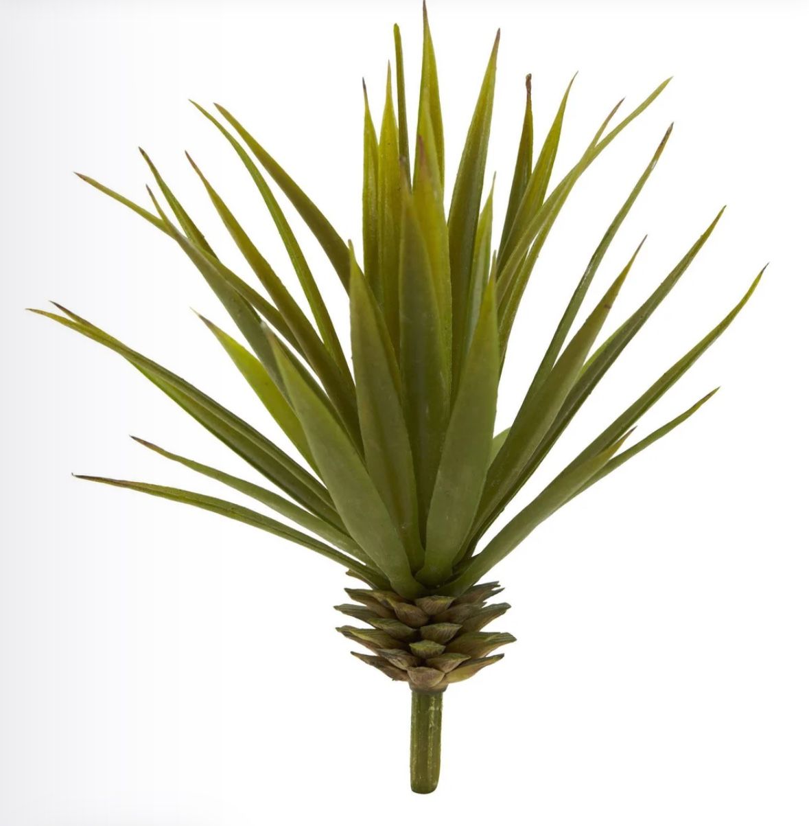 Mini Spiky Agave Succulent Plant (Set of 8)