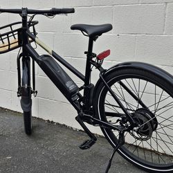 RadMission E Bike