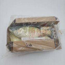 1999 BIG MOUTH BILLY BASS TALKING SINGING & MOVING FISH by GEMMY IND