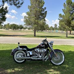 Harley