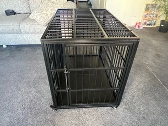 Dog case