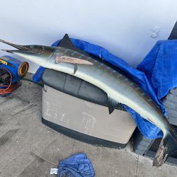 Marlin Mounted