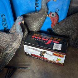 Turkey And Dove Decoy Set 