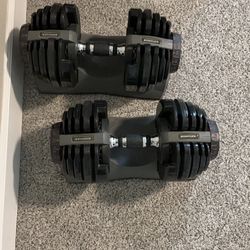 Bow flex adjustable dumbbells