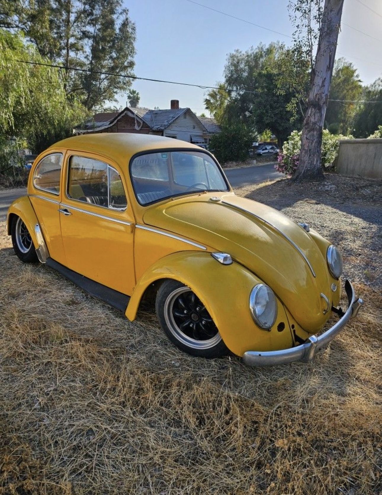 1965 Vw Bug Air Ride Slammed Cruiser 