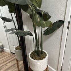 Decorative Fake Indoor Plant