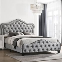 Brand New Light Grey Bed Velvet 