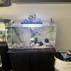 Fish Tank Plexiglass 
