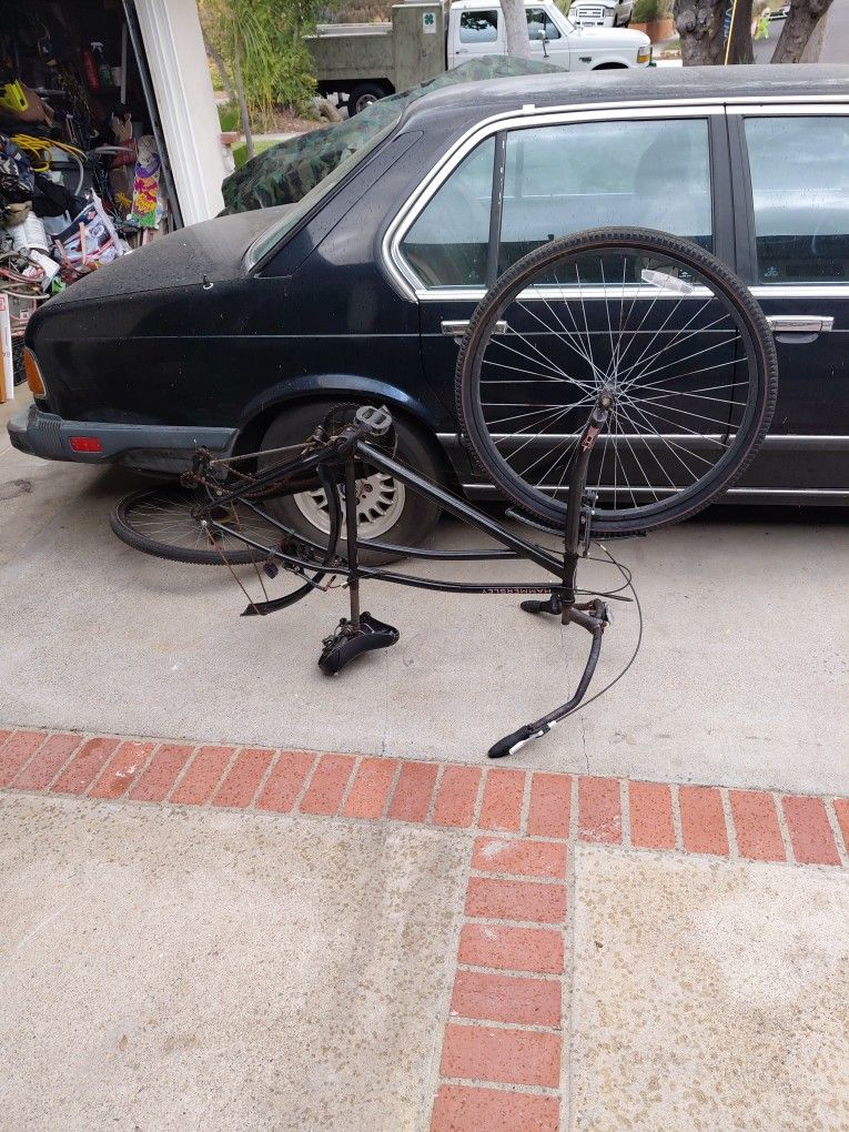 Schwinn Cruiser