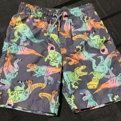 Cat & Jack boys size 8/10 colorful dinosaurs swim trunks with 2 pockets 