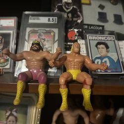 Cards And Collectibles Wanted