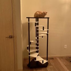 Cat tree, 12 step Spiral