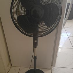 oscillating Fan 