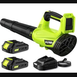 Electric Battery Powered Leaf Blower.