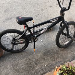 Mongoose
