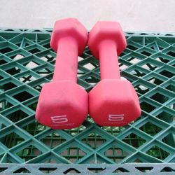 Pair Of 5 Lb Rubber Coated Iron Hex Dumbbells 10 Lb Total Weight New